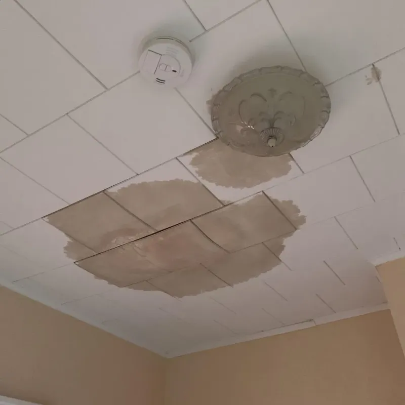 Ceiling Water Damage Repair in Freedom, PA